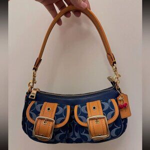 Coach Blue And Orange Shoulder Bag